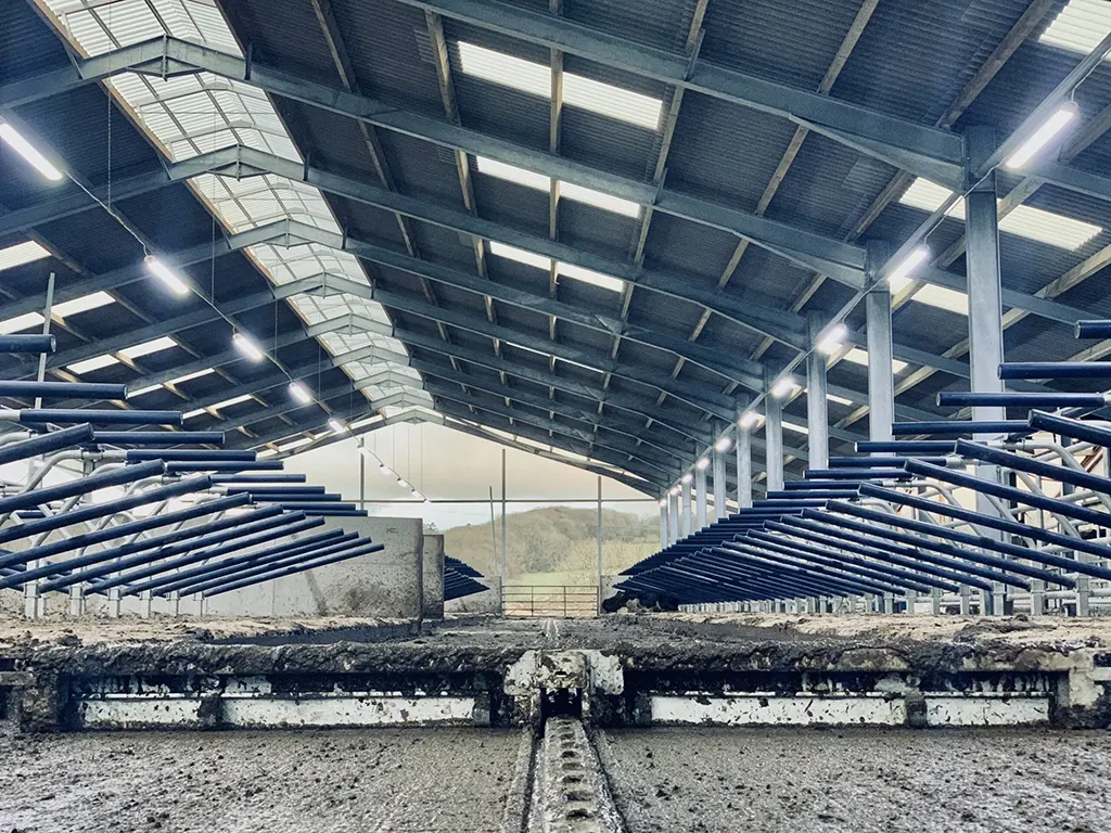 dp-product-development-1