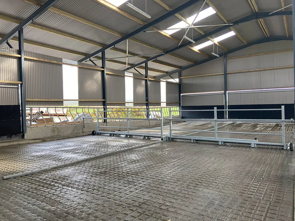 dp-product-development-4