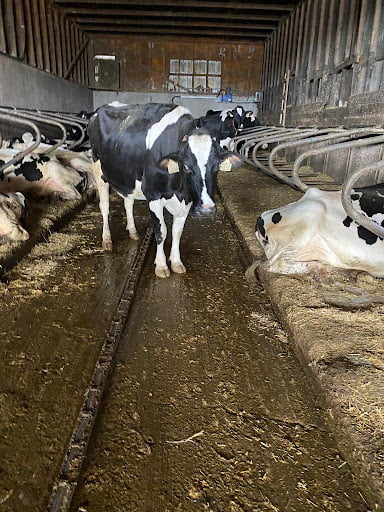 Grand River Robotics1