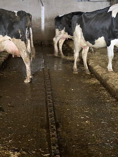 Grand River Robotics3