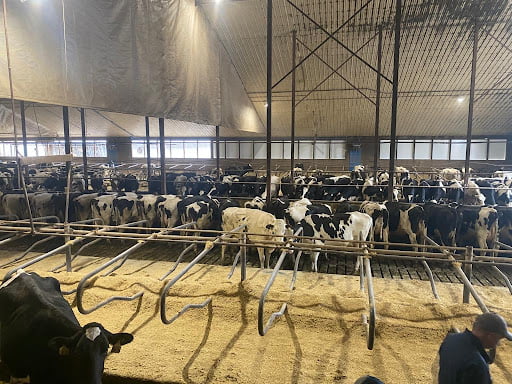 Penner Farm Services2