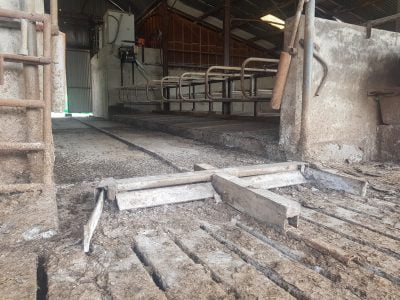 27-year-install-long-lasting-ratchet-scraper1