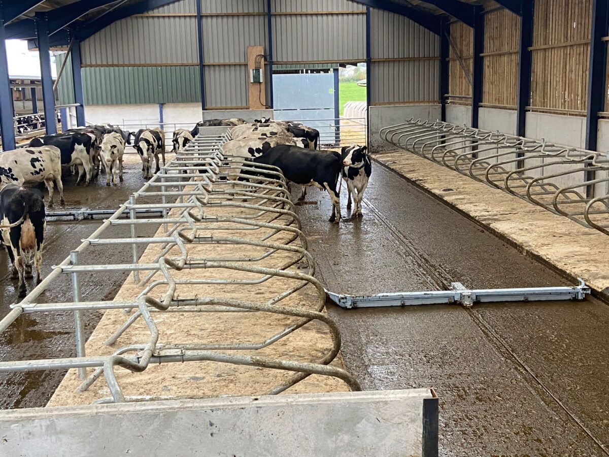 Discover the complete benefits of our Manure Scraper Systems | DP ...
