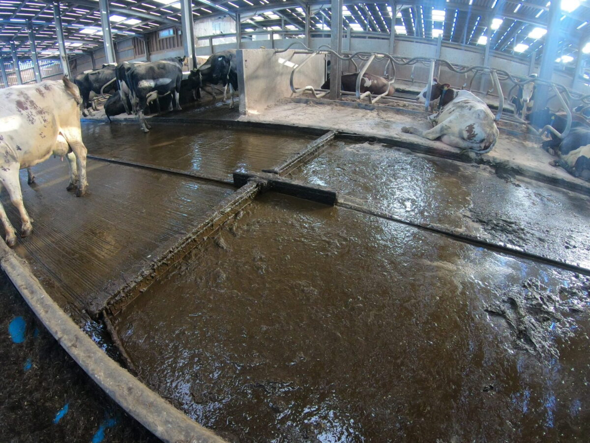 Slurry Management The Top 10 Benefits of using our Bespoke Slurry Management Systems | DP ...