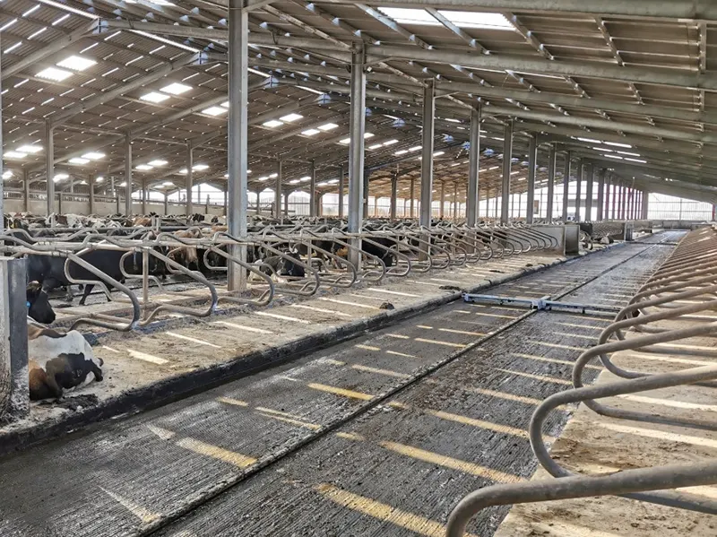 Pro-Clean Ratchet Scraper System